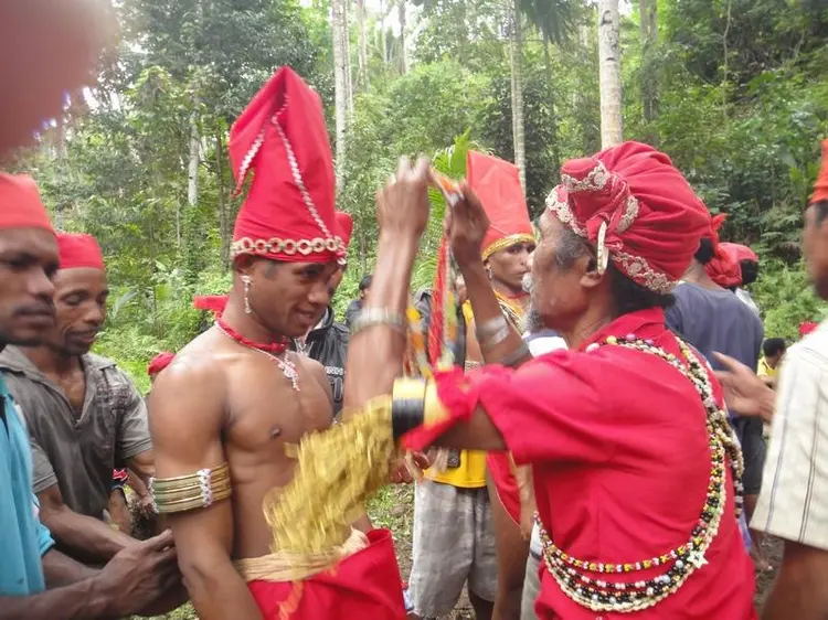 Matahenne (reduced).JPG