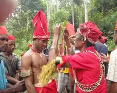 Matahenne (reduced).JPG